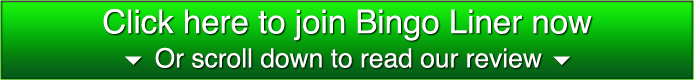 bingolinermiddle