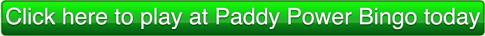 paddy power bingo